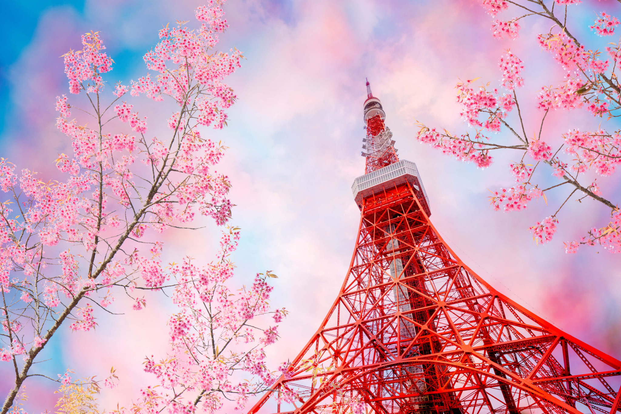 communication tower framed with cherry blossom